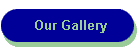 Our Gallery